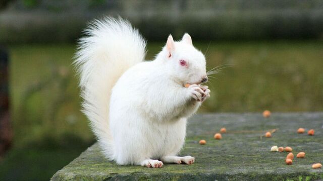 En az 7 bin çeşit &quot;nadir hastalık&quot; var!