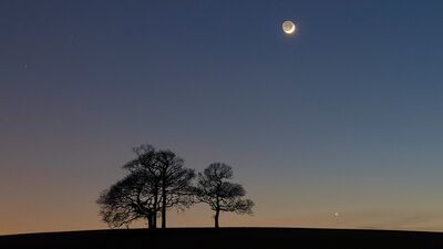 Dikkat Venüs geriliyor!