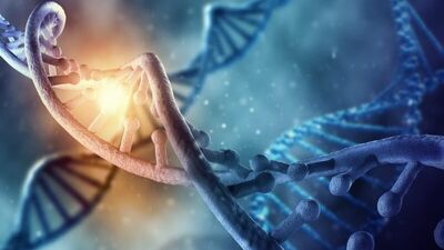 Ten uyumu değil gen uyumu!