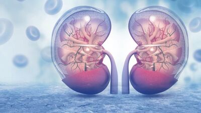 Bu alışkanlıklar böbrek sağlığını tehdit ediyor