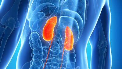 Kronik böbrek hastalığına dikkat