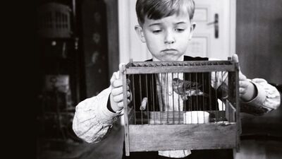 'İyi Bir Komşu'yla İstanbul Bienali'ne hazırlık