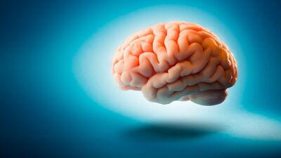 Beyin ile bilgisayar arasındaki en önemli fark...