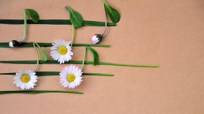 Şarkı söylemek Alzheimer&#039;ı önlüyor