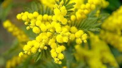 En son ne zaman mektup yazdın?