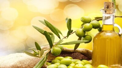 Zeytinyağlı tarifler