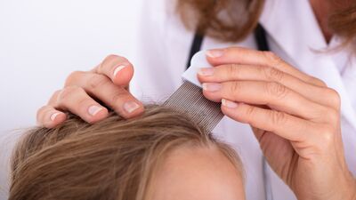 Ebeveynlerin korkulu rüyası: Bit