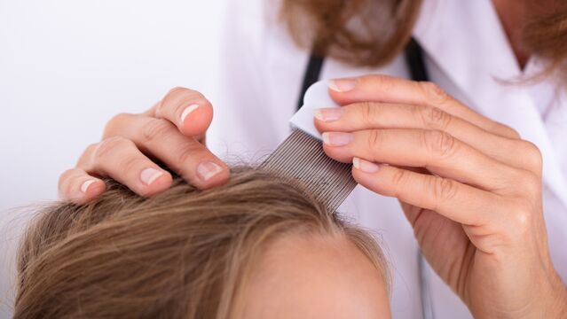 Ebeveynlerin korkulu rüyası: Bit