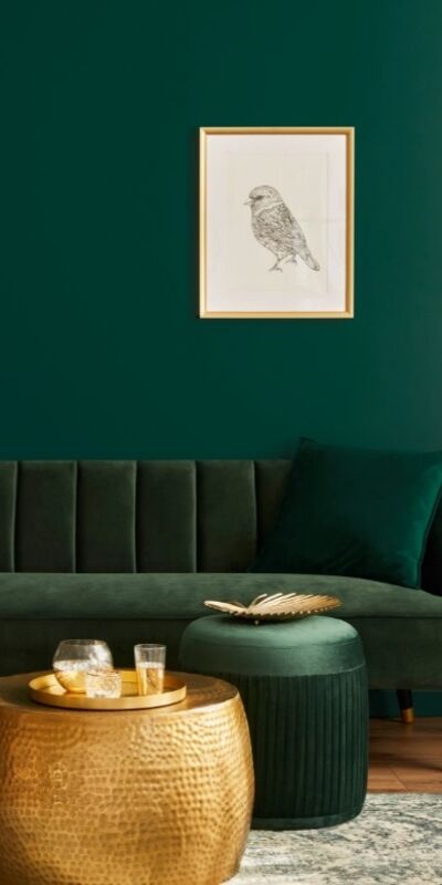 Koyu renk duvar boyası nasıl kullanılır?