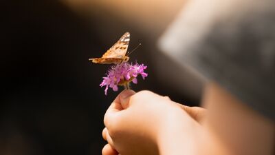 Daha iyi bir noktaya gelebilmek için 11 adım