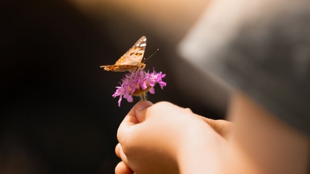 Daha iyi bir noktaya gelebilmek için 11 adım