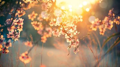 Doğa uyandı siz hala uyuyor musunuz?