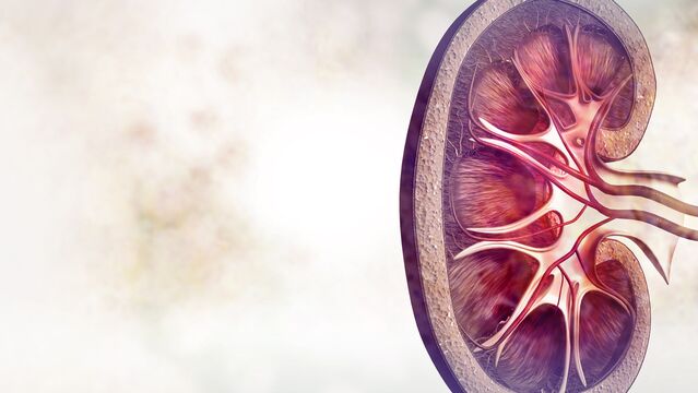 Böbrek taşını hareket ederek kırın