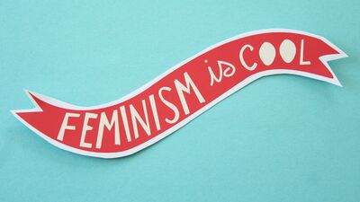 Amme hizmeti: Feminizm ne değildir?