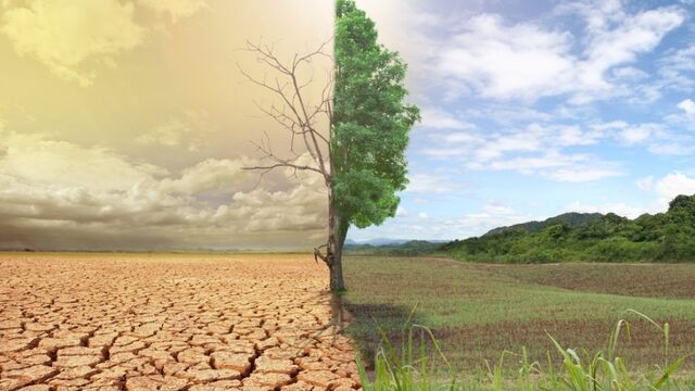 İklim değişikliği bizi hasta mı ediyor?