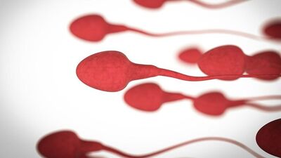 Sperm sayınızı cep telefonunuzla ölçebilirsiniz