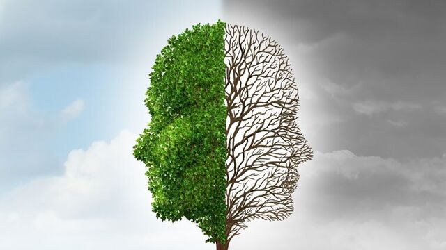 Her 100 kişiden biri...