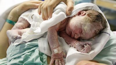 Yeni doğanın koruyucu zırhı: Verniks