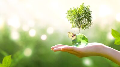 Plastik yerine ne kullanılabilir?