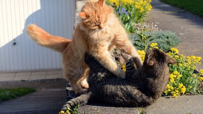 Başkalarını kıskanmamak için 6 gerçek sebep