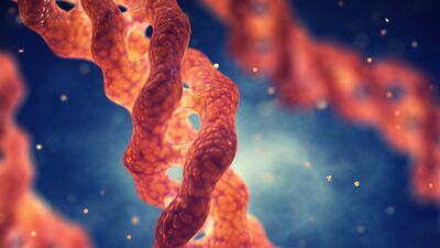 Kolajen hakkında bunları biliyor musunuz?