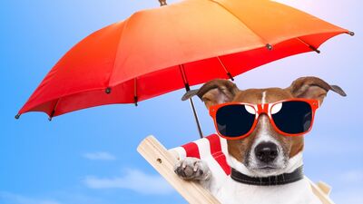 Bronzlaşmak hakkında bildikleriniz ne kadar doğru?