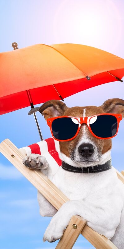 Bronzlaşmak hakkında bildikleriniz ne kadar doğru?