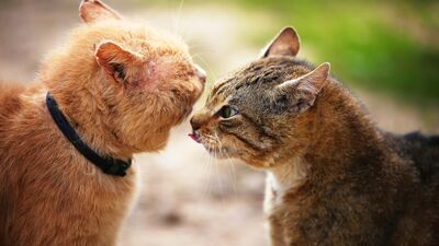 Kavgada sorulmayacak sorular