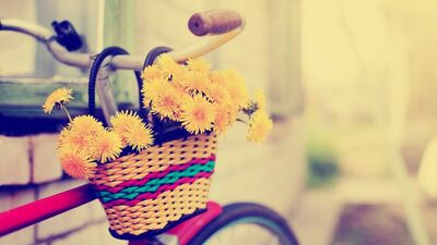 Bisiklet ve özgürlük rehberi