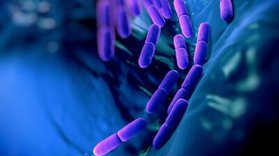 Bakterilerimizi sevmek için sebeplerimiz var