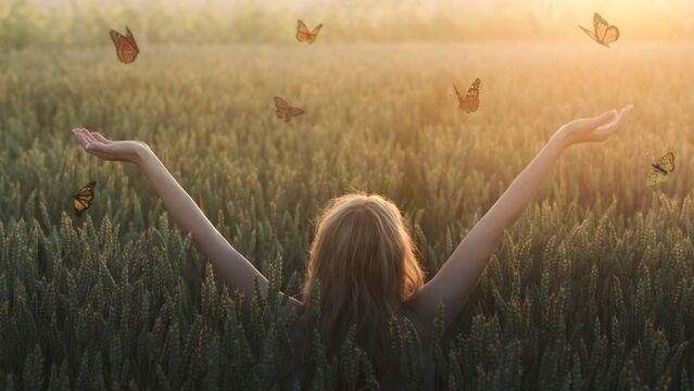 Nerede hareket orada bereket sözü neden gerçek?