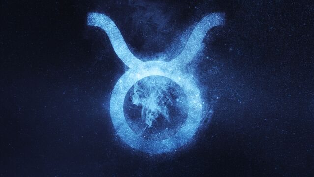 Boğa burcu erkeği nelerden hoşlanır?