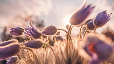 Kendinizi iyi hissetmek için 5 öneri