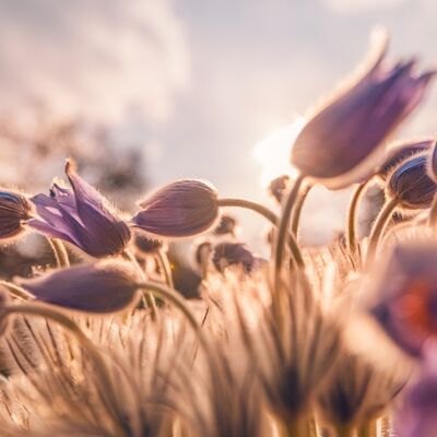 Kendinizi iyi hissetmek için 5 öneri