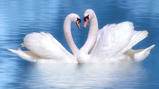 Aynı anda iki kişiye aşık olunur mu?