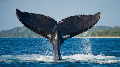 Bir duruşu, bir zarafeti olmalı insanın!