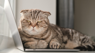 Oruçluyken sinirlenmemek için neler yapılmalı?