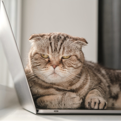 Oruçluyken sinirlenmemek için neler yapılmalı?