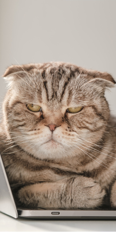 Oruçluyken sinirlenmemek için neler yapılmalı?