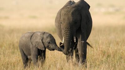 İyi bir anne gibi hissetmek...