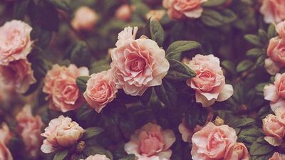 Kadınlar birbirini neden sevmeli?