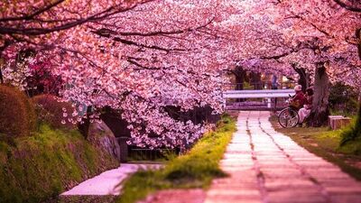 Dünyanın en güzel 10 cadde ve sokağı