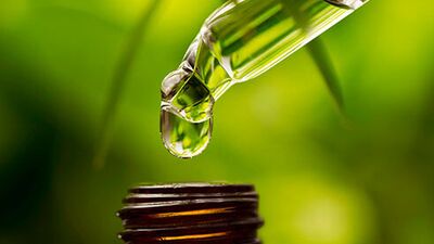 Sizi 7 gün içinde değiştirecek 7 yağ