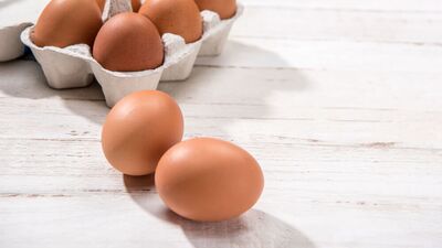 Salmonella nedir? Salmonella hastalığı belirtilerini tanıyın!