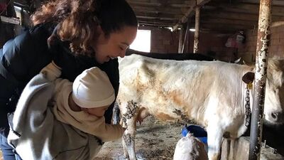 İstanbul'u terk eden ünlüler