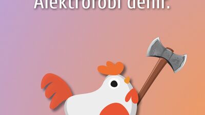 Hayvanlarla ilgili ilginç bilgiler