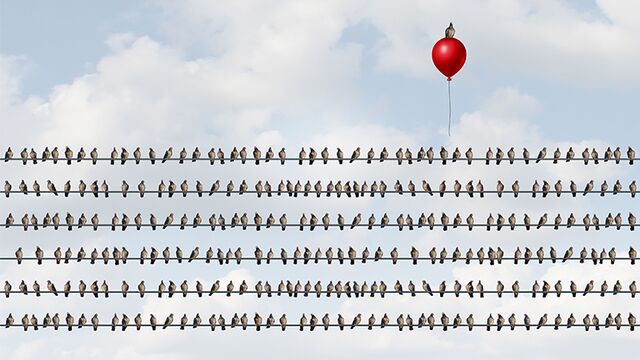 Zeki olduğumuzu nasıl anlarız?