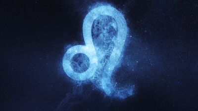 Aslan burcu erkeği nelerden hoşlanır?