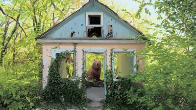 İnsanlık yok olursa dünya nasıl bir yer olur?