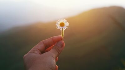 Stressiz bir hayat için 5 adım